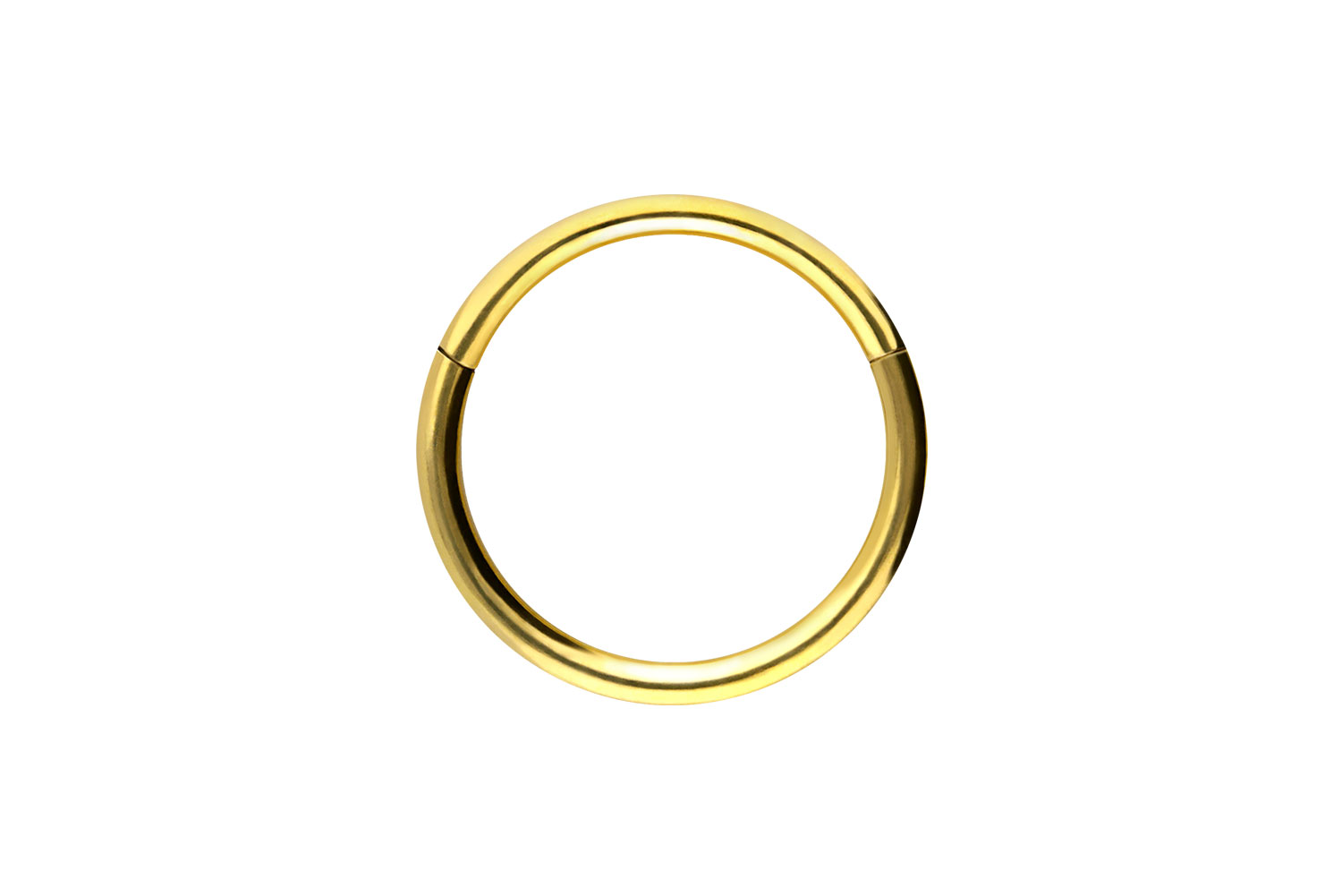 Chirurgenstahl Segmentring Clicker Piercing